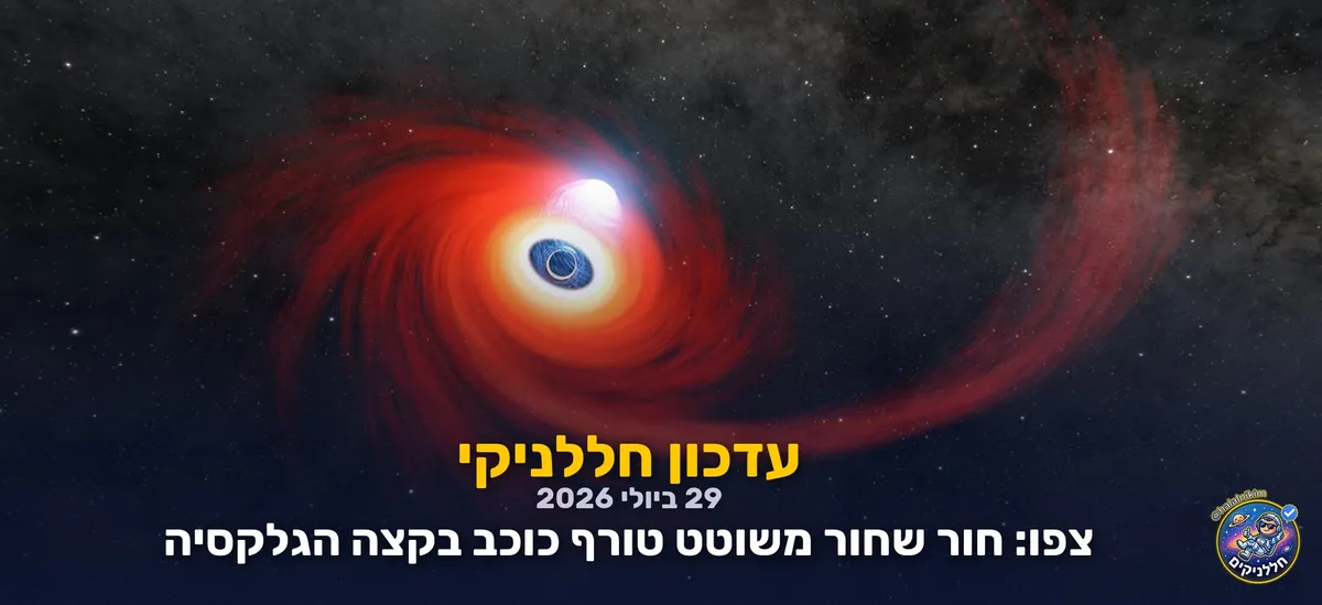צפו: חור שחור משוטט טורף כוכב בקצה הגלקסיה