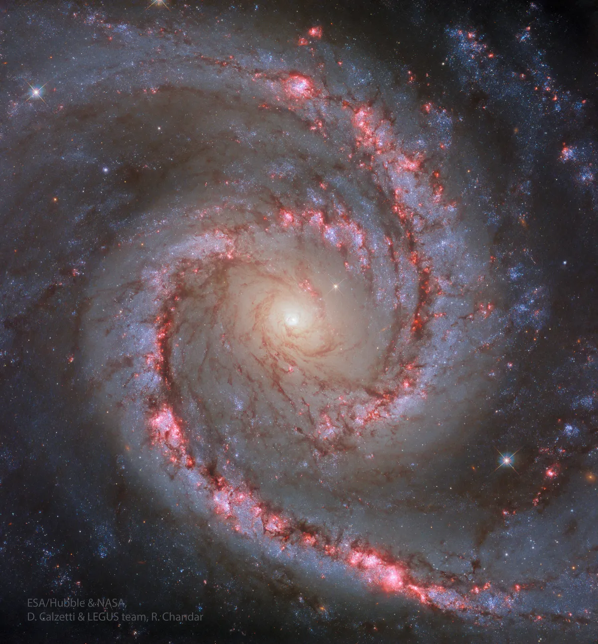 הריקוד הקוסמי של גלקסיית הרקדנית הספרדית NGC 1566